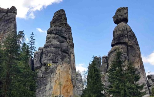 background-starostova