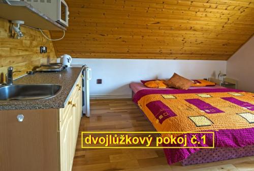 Pokoj č. 1 | ubytování Adršpach